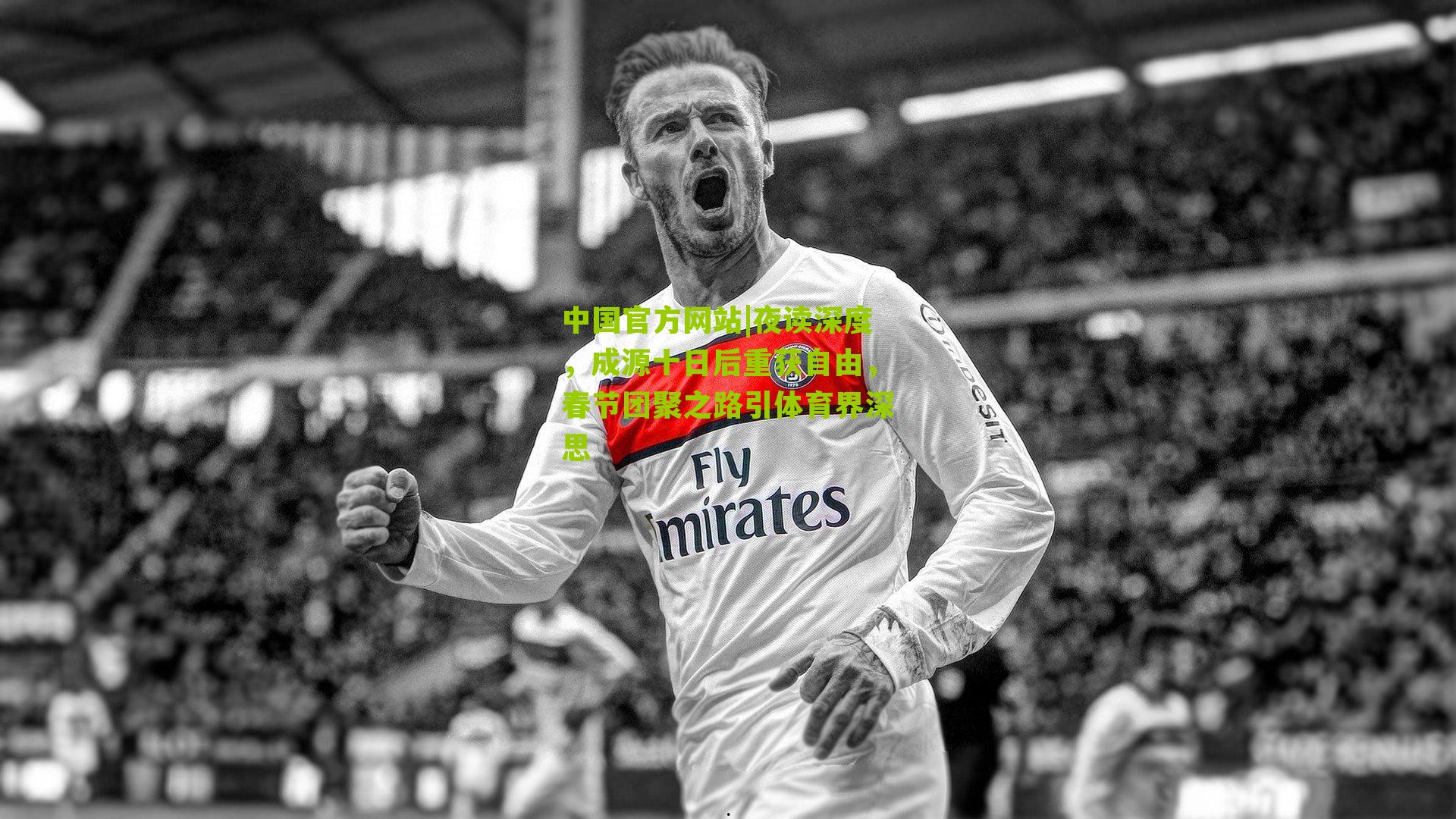 夜读深度，成源十日后重获自由，春节团聚之路引体育界深思